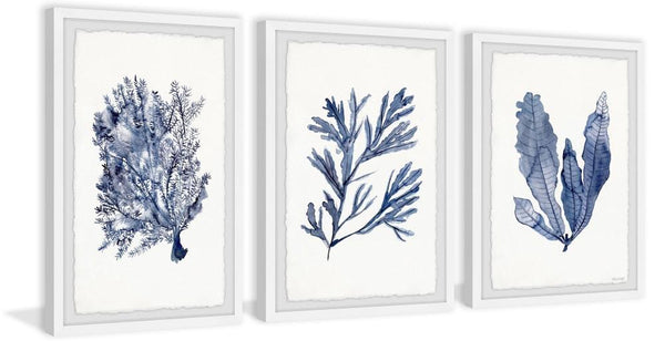Seaweed Under Water V Triptych Wall Art