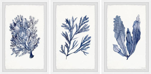 Seaweed Under Water V Triptych Wall Art